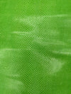 Whipsnake (serpent d’eau) vert néon