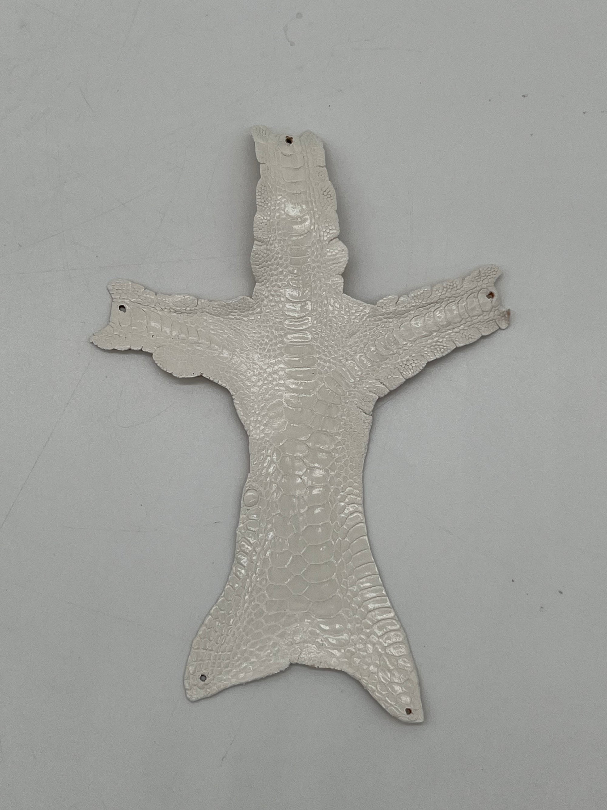 Patte de coq (lot de 50 pattes)