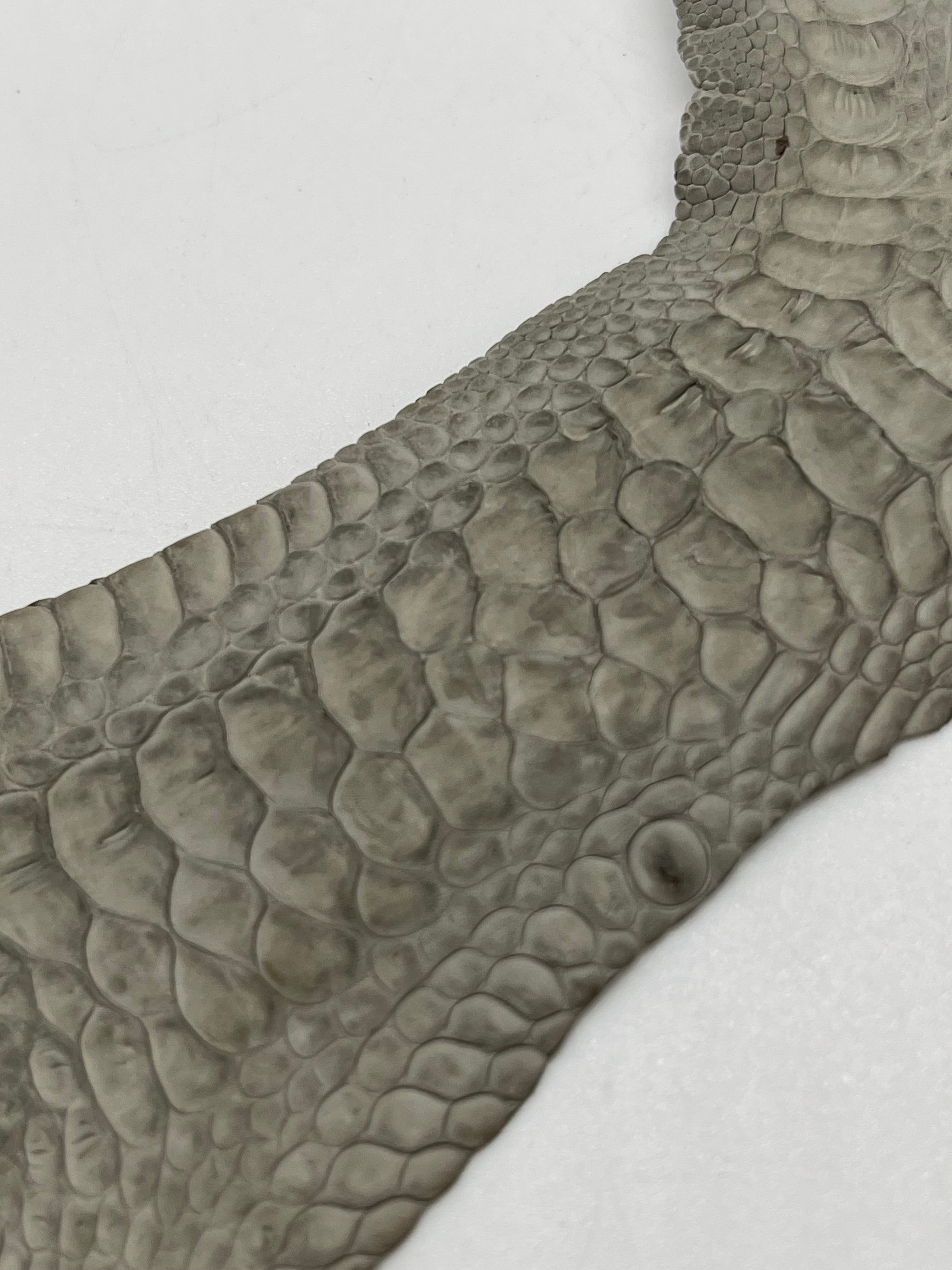 Patte de coq (lot de 50 pattes)