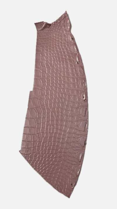 Flanc de crocodile