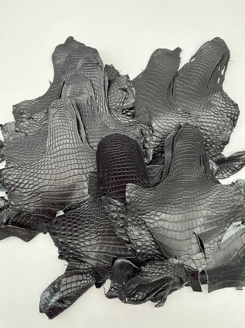 Lot de 20 têtes d’alligator noir mat