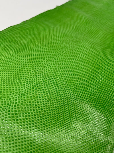 Whipsnake (serpent d’eau) vert néon