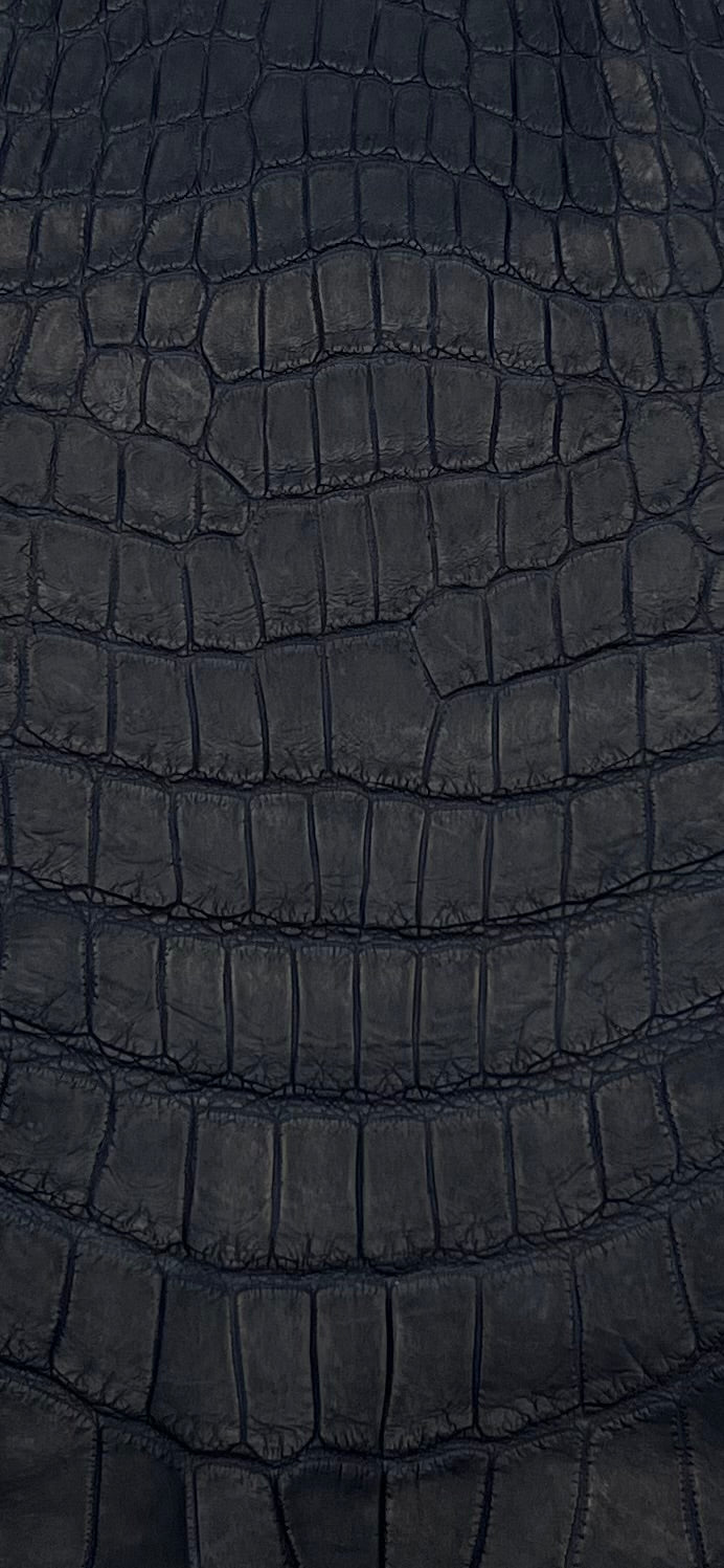 Tête de croco bleu marine