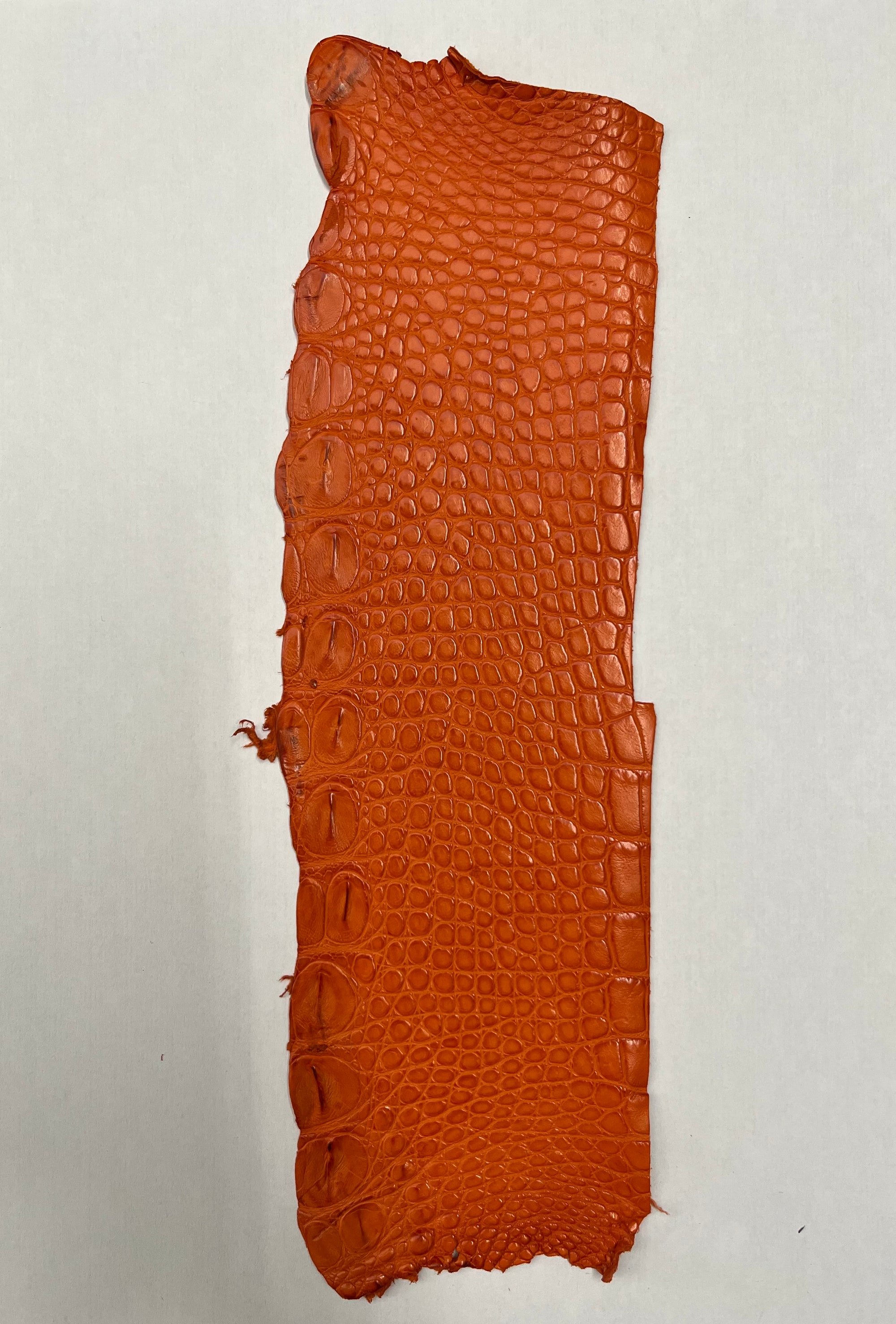 Flanc de croco