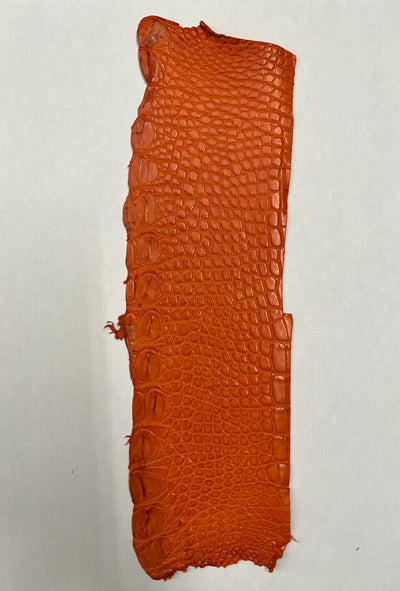 Flanc de croco