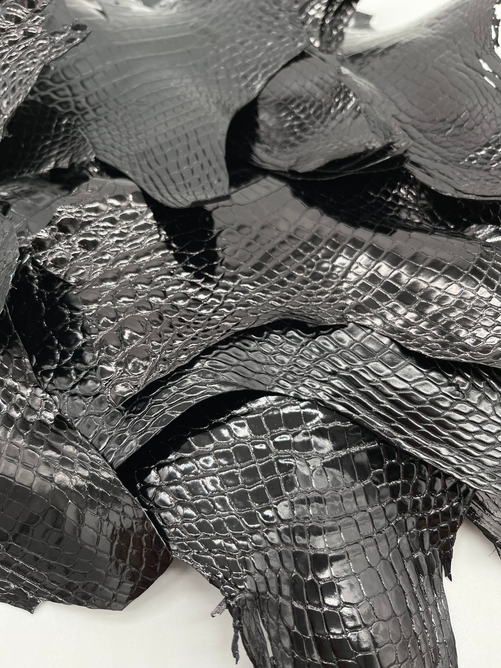Lot de 20 têtes d’alligator noir brillant