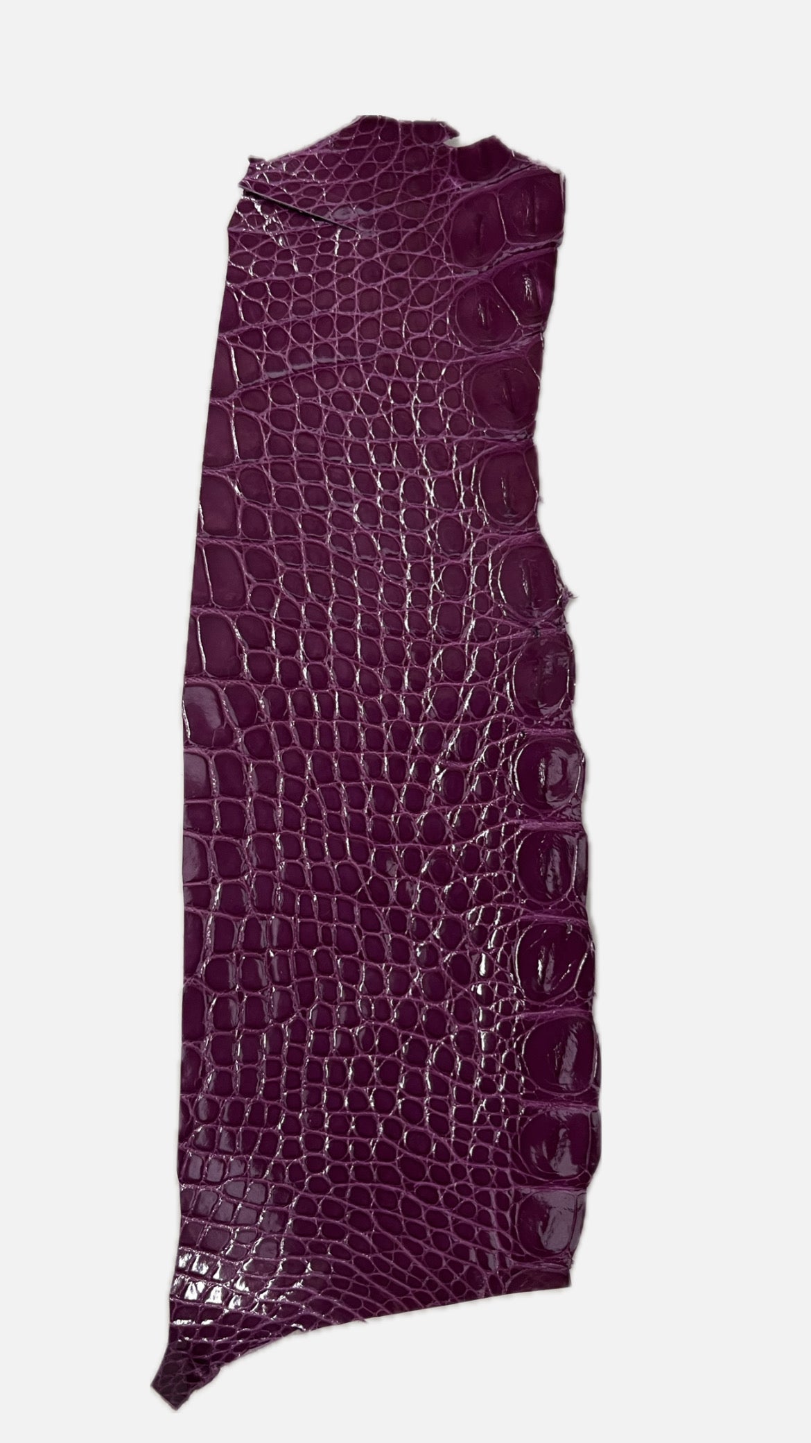 Flanc de crocodile