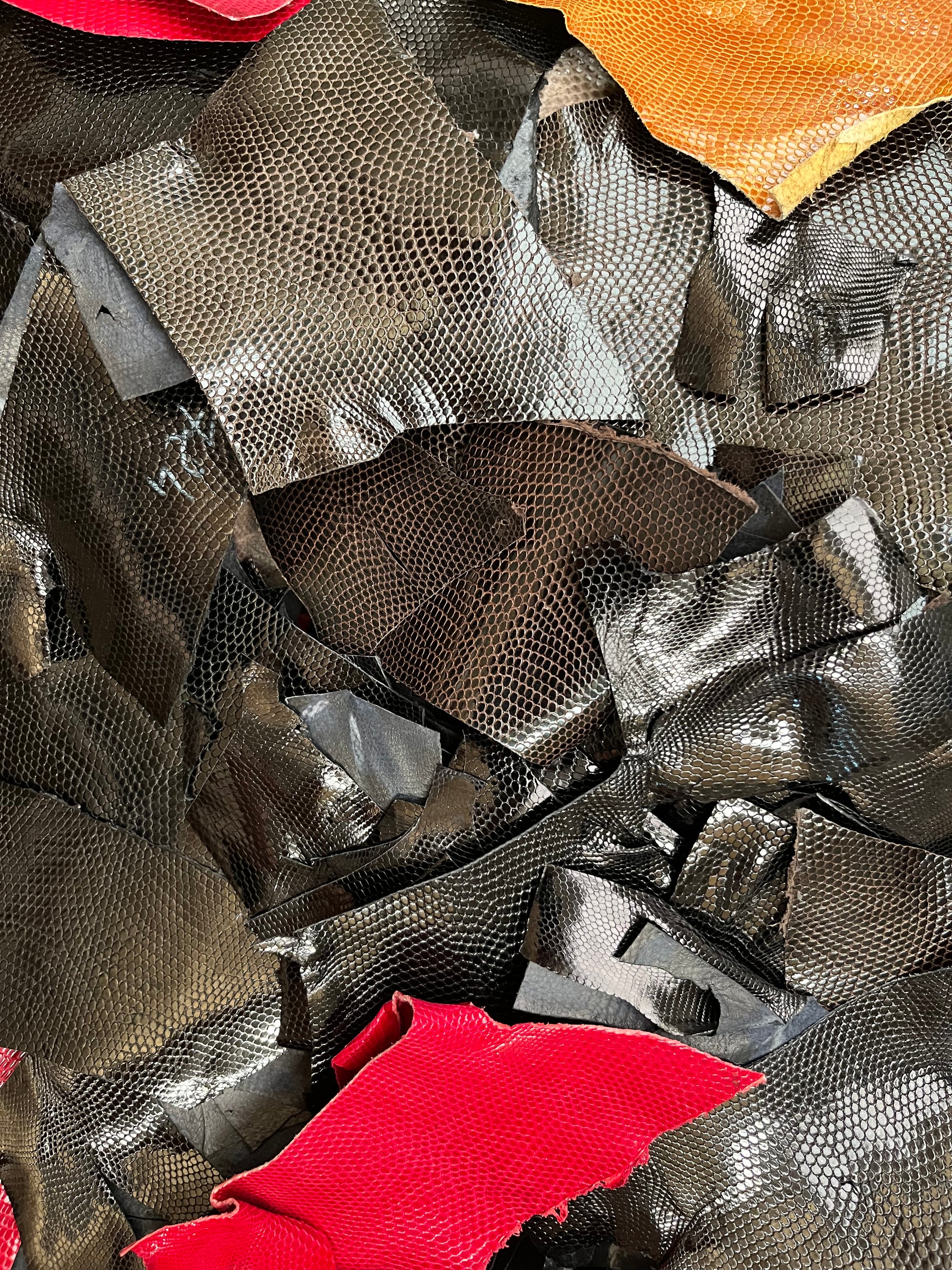 Sac de 1kg de petites chutes de lézard