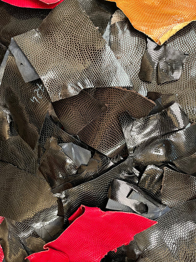 Sac de 1kg de petites chutes de lézard