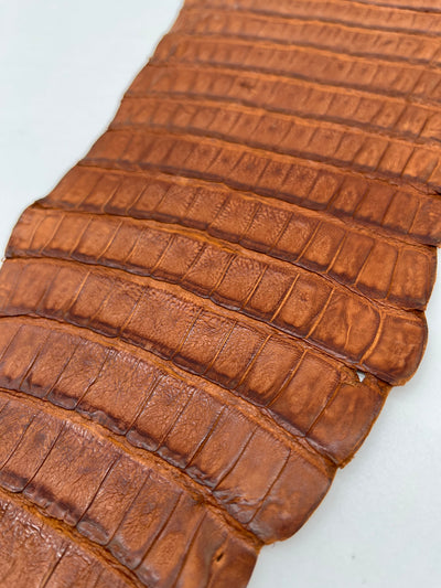 Queue de croco couleur havane (chutes)