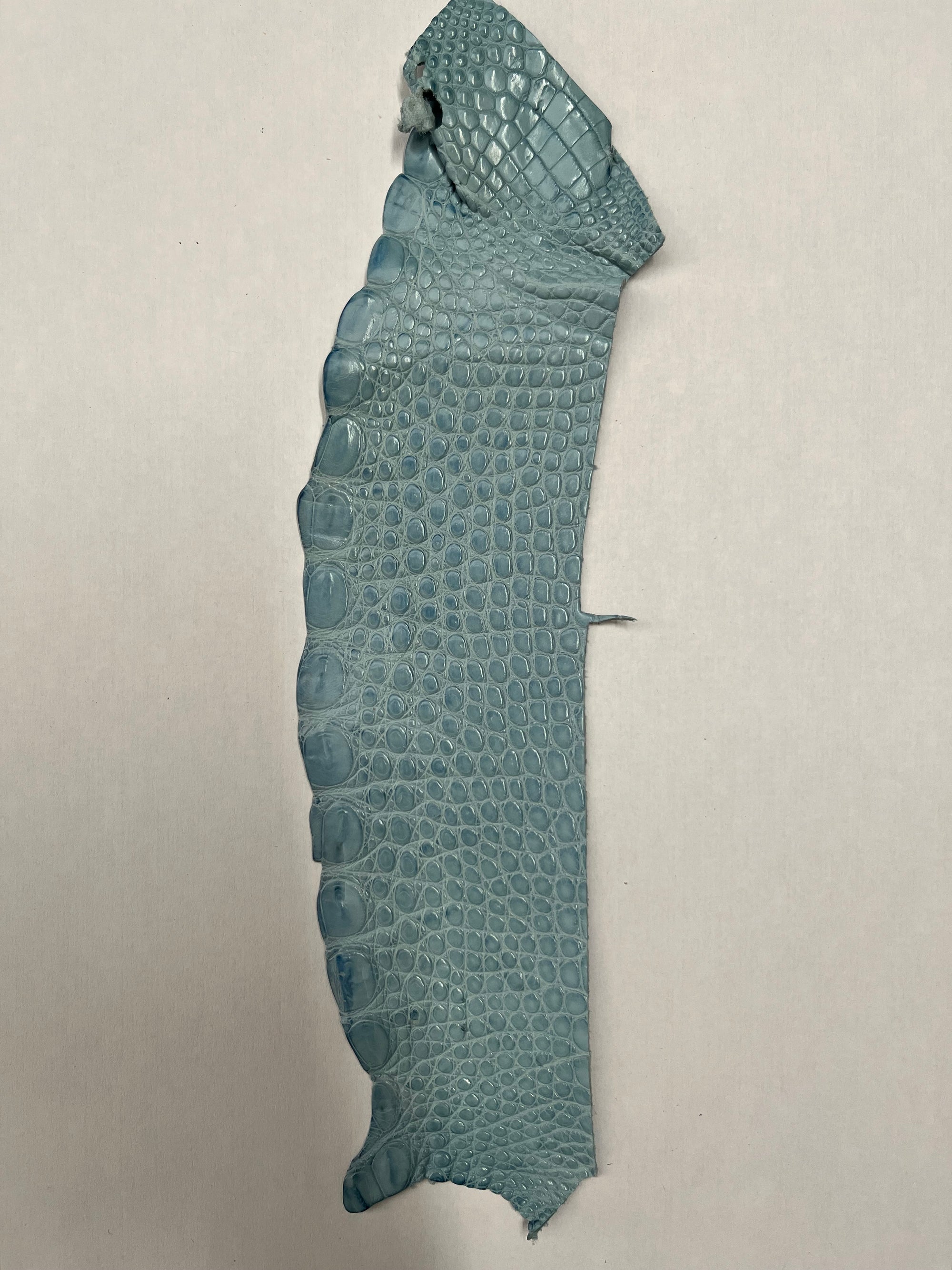 Flanc de croco