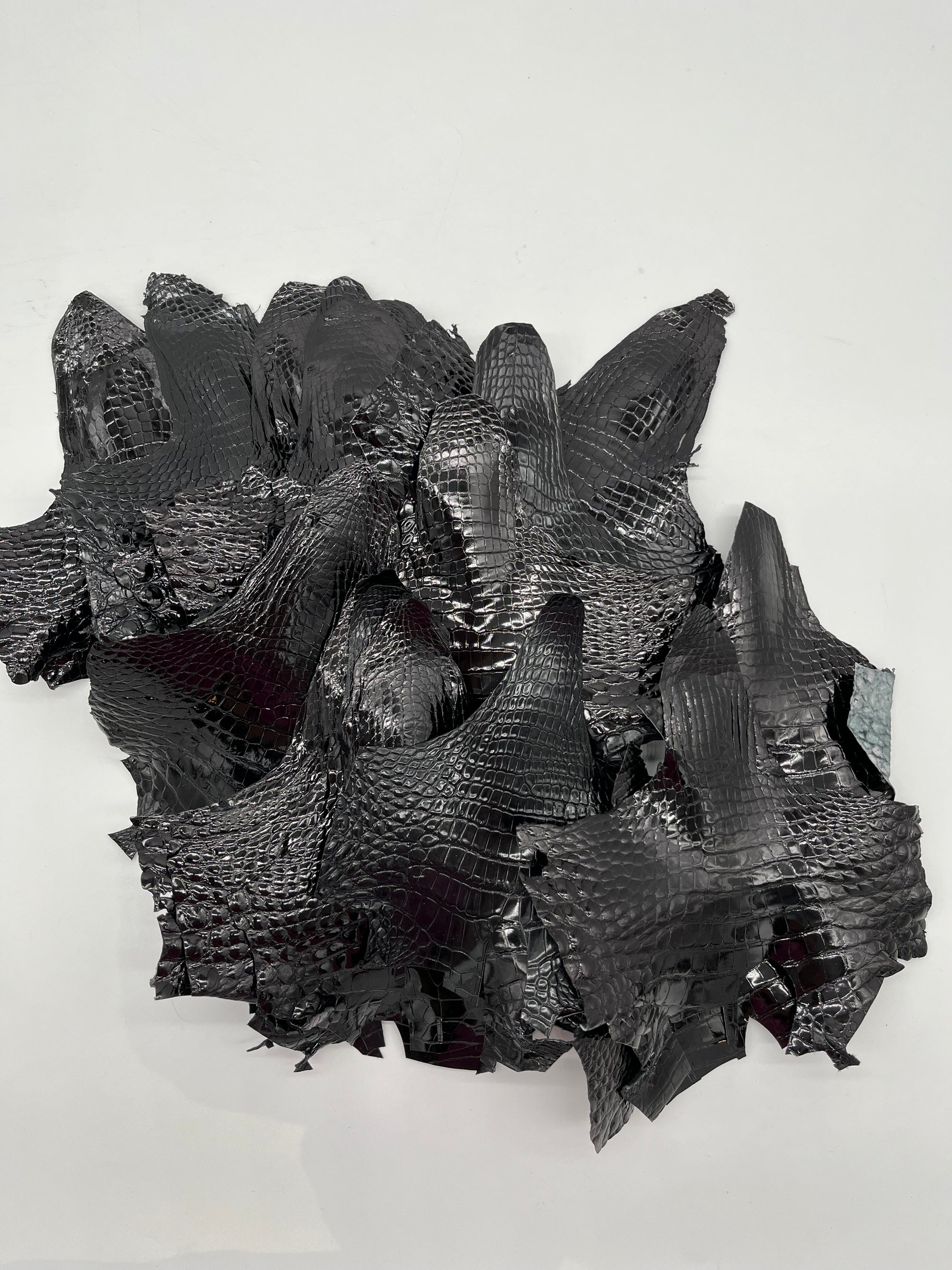Lot de 20 têtes d’alligator noir brillant
