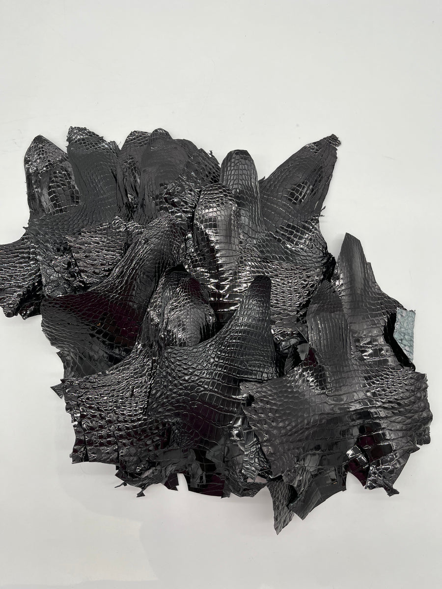 Lot de 20 têtes d’alligator noir brillant