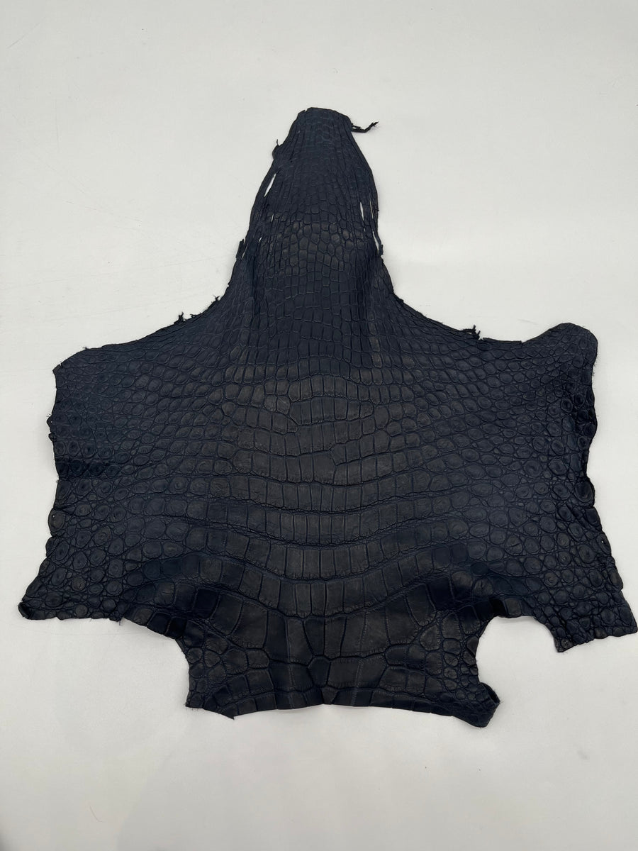 Tête de croco bleu marine