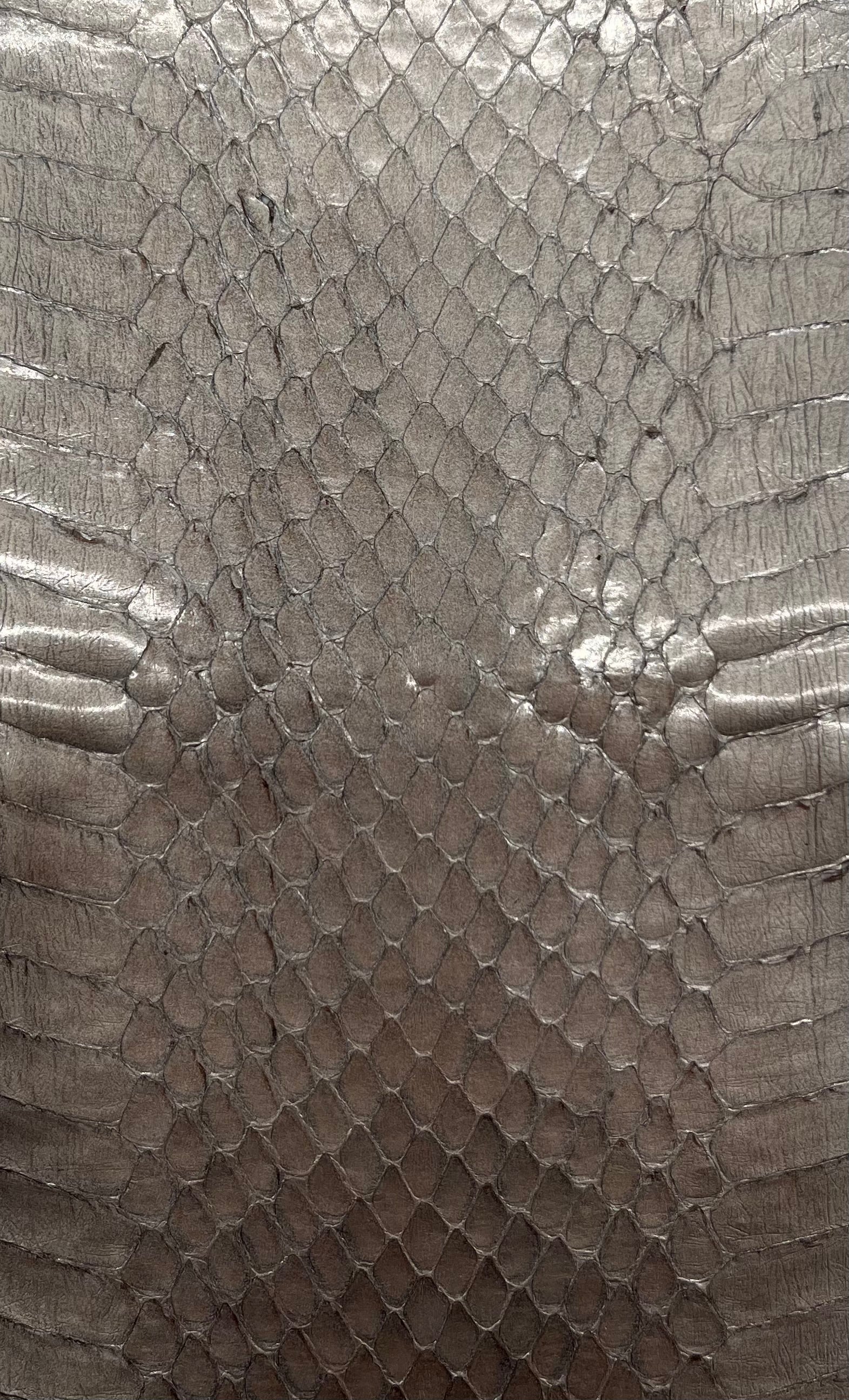 Whipsnake (serpent d’eau)