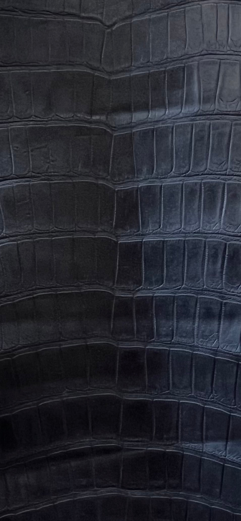 Queue de crocodile bleu marine