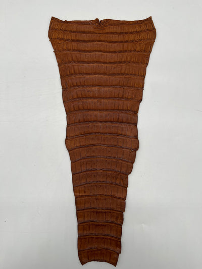 Queue de croco couleur havane (chutes)