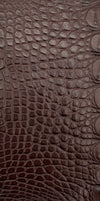 Flanc de crocodile