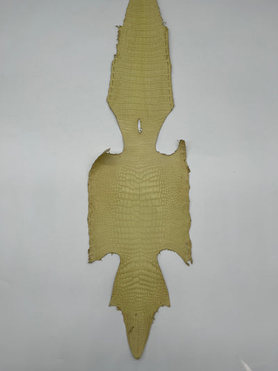 Crocodile Alligator Mat 20-29 cm choix III
